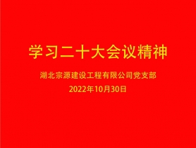 宗源通讯——公司支部会进行“二十大会议精神”专题学习